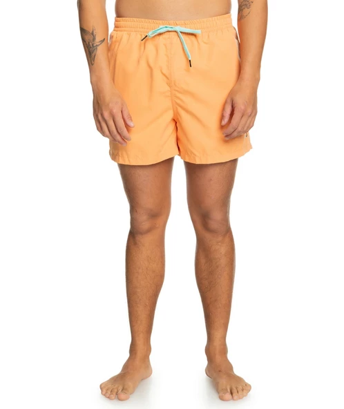 Quıksılver BEHIND WAVES Erkek Şort EQYJV04061-QK.NJF0 - Resim 6