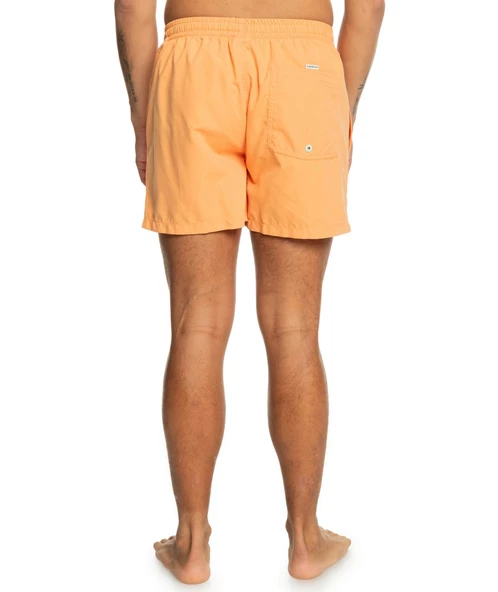 Quıksılver BEHIND WAVES Erkek Şort EQYJV04061-QK.NJF0 - Resim 4