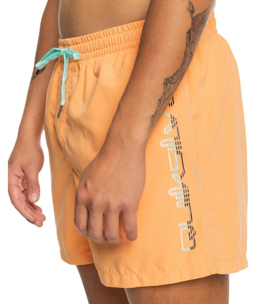 Quıksılver BEHIND WAVES Erkek Şort EQYJV04061-QK.NJF0 - Resim 2