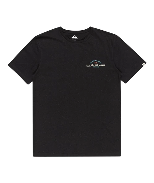 Quıksılver ARCHED TYPE SS Erkek T-shirt EQYZT07717-QK.10010 - Resim 7