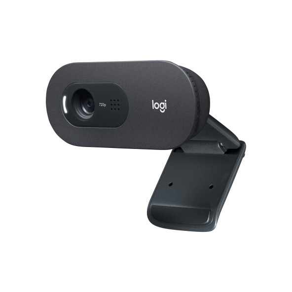 Logitech C505 960-001364 Mikrofonlu Webcam