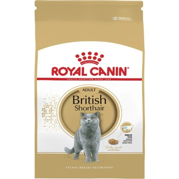 Royal Canin British Shorthair Yetişkin Kedi Maması 4 Kg SKT:07.2024