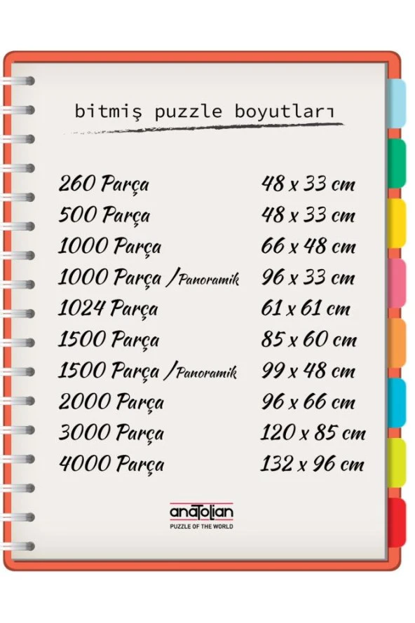 Anatolian Puzzle 1000 Parça Çellist - Resim 3