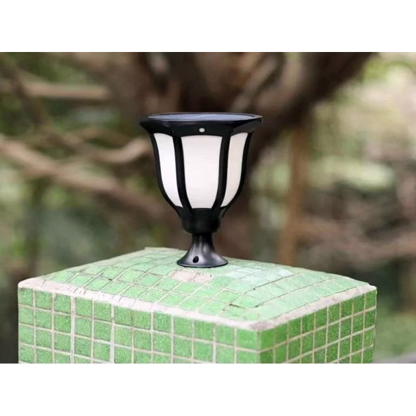 15W Ariel Solar Bahçe Armatürü Beyaz Işık YL74-1011-S - 5