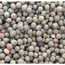 Kirazlı Yem Bezelyesi Tohumu 5 Kg - Resim 3