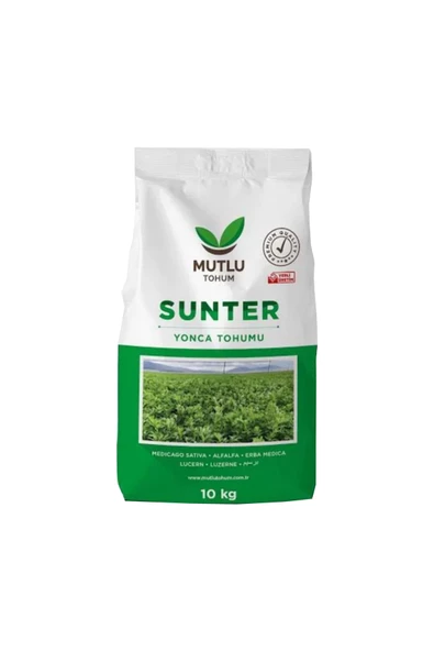 Sunter Kapsız Yonca Tohumu 1 Kg İlaç Kaplamasız Yonca Tohumu