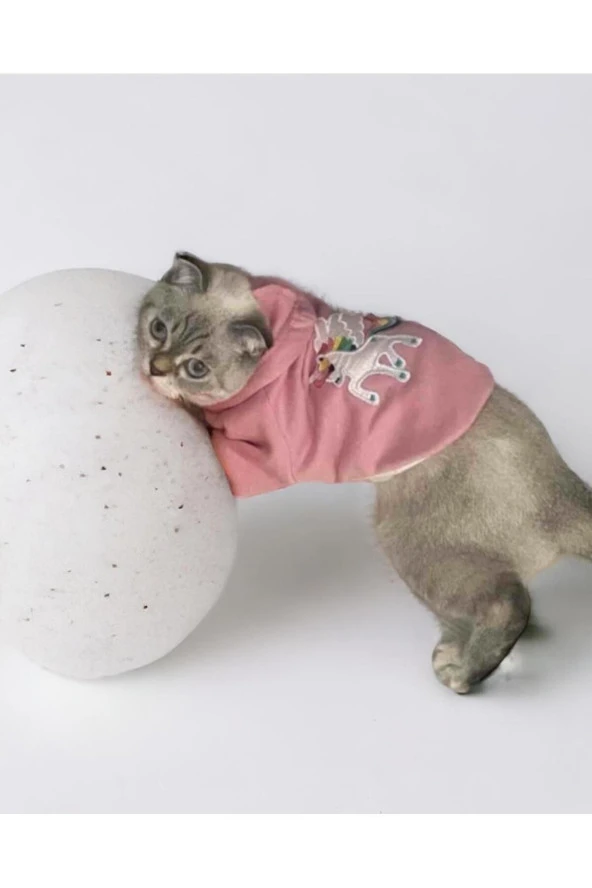 Pembe Kedi Kıyafeti Kedi Kapşonlu Sweatshirt, Hoodie Kedi Kazağı, Kedi Kıyafeti