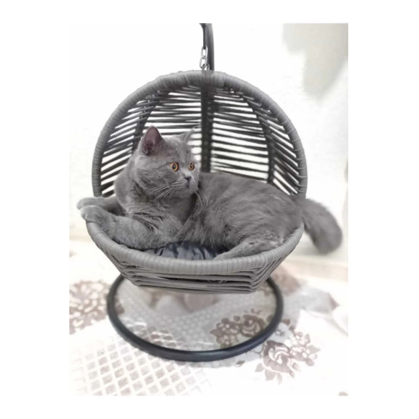 kedi köpek salıncağı - 5