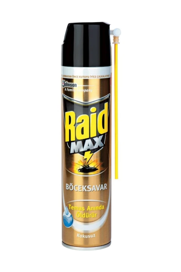 Raid Böcek Savar Max 300 Ml