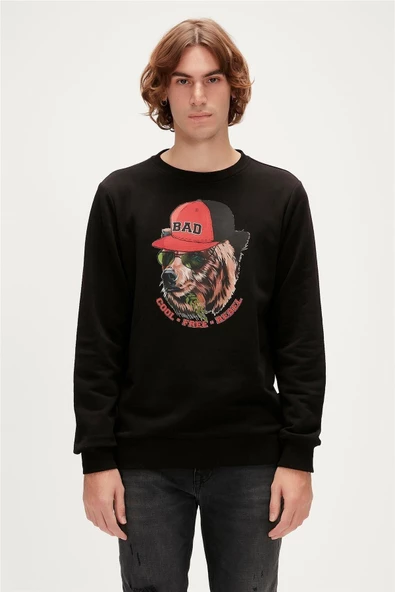BAD BEAR ERKEK REBEL CREWNECK 23.02.12.019 - 10