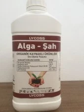 ALGA-ŞAH 5.-LT