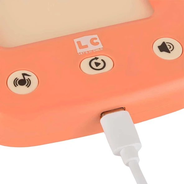 LC Öğretici Türkçe İngilizce Konuşan Flash Kartlar 31050 - 7