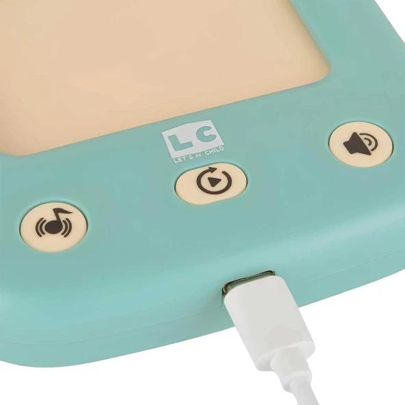 LC Öğretici Türkçe İngilizce Konuşan Flash Kartlar 31050 - 8