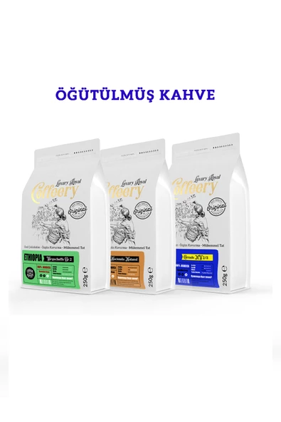 Üçlü Avantaj Paketi - Altın Seri - Yöresel Filtre Kahve 3x250 gr (Öğütülmüş)