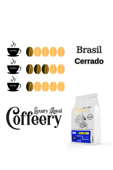 Brasil Cerrado NY 2/3 Roast Filtre Kahve 250 gr (Çekirdek) - Resim 2