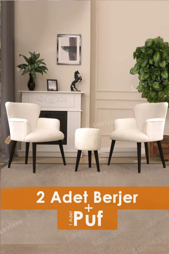 LOVİSSE HOME Berjer Set Tekli Koltuk Balkon, Ofis, Bekleme, Güzellik Merkezi, Çay Seti