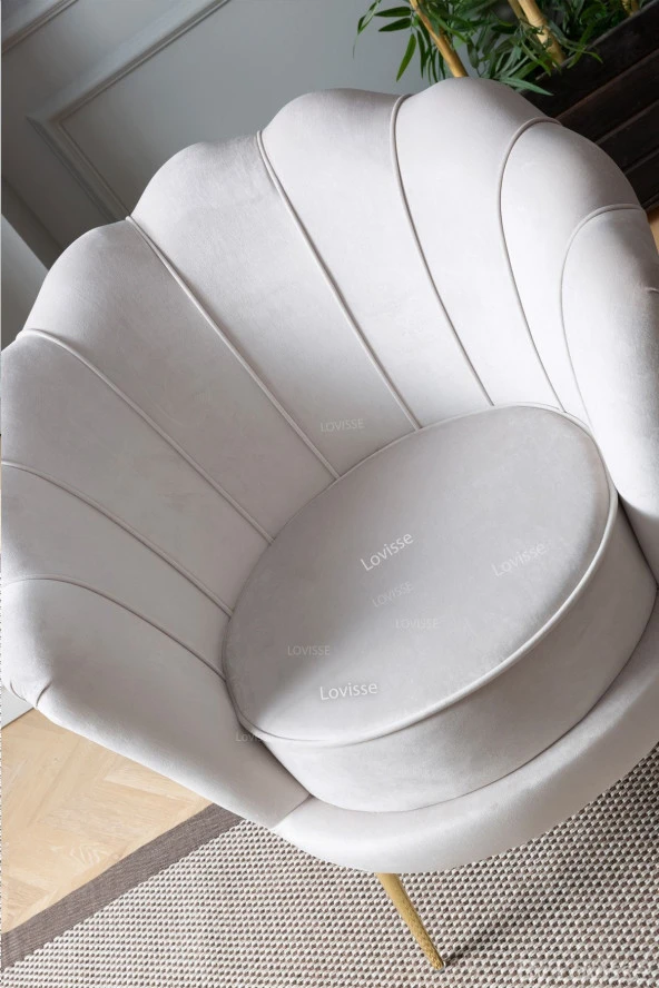 LOVİSSE HOME Krem Papatya Berjer - Alaçatı Istiridye Model Tekli Koltuk - Bekleme - Kuaför, Balkon Ofis - 3