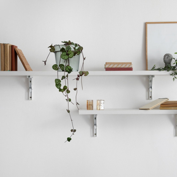Eget Kalp Kalbe Karşı Çiçeği (Ceropegia Woodii)-Beyaz saksılı