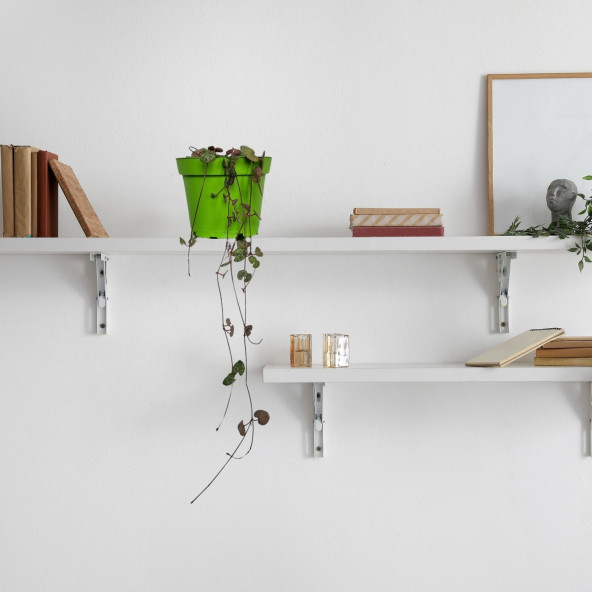 Eget Kalp Kalbe Karşı Çiçeği (Ceropegia Woodii)-Yeşil saksılı