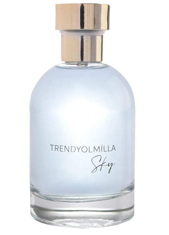 TRENDYOL  MİLLA PARFÜM  SKY EDP 100 ML