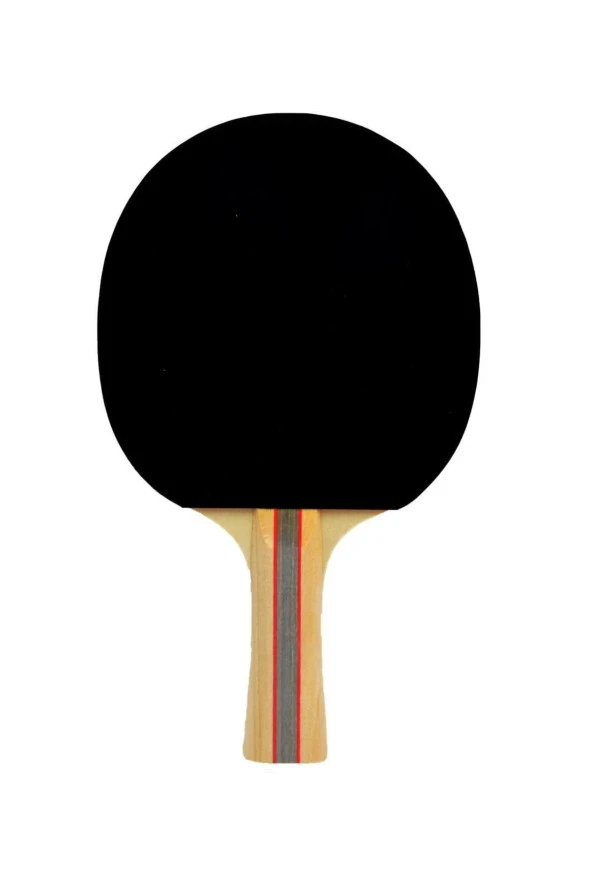Slazenger Champion Ittf Onaylı Masa Tenis Raketi - 2