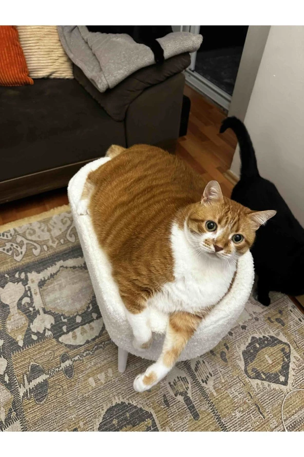 BEYLERBEYİ Gürgen Ahşap Ayak welsoft Kumaş Oval Pufidik Puf Bench Tabure Sandalye - Resim 2