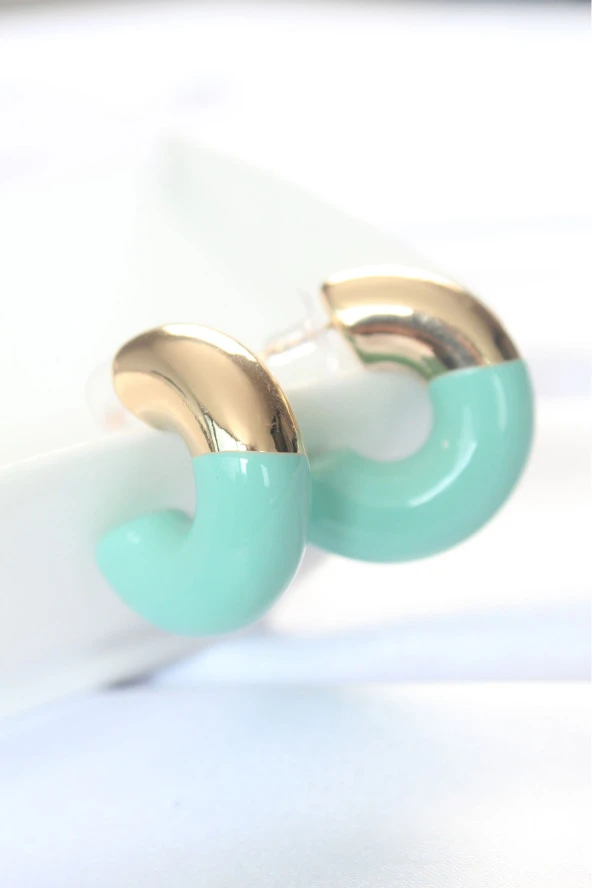 CCB Turkuaz Gold Çift Renk Küpe - EBJ240521W24164 ürün görseli