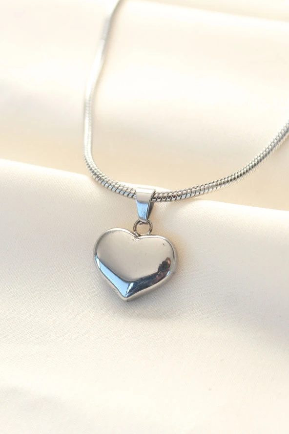 316L Çelik Gümüş Renk Kalp Kolye - EBJ240521W24264 ürün görseli