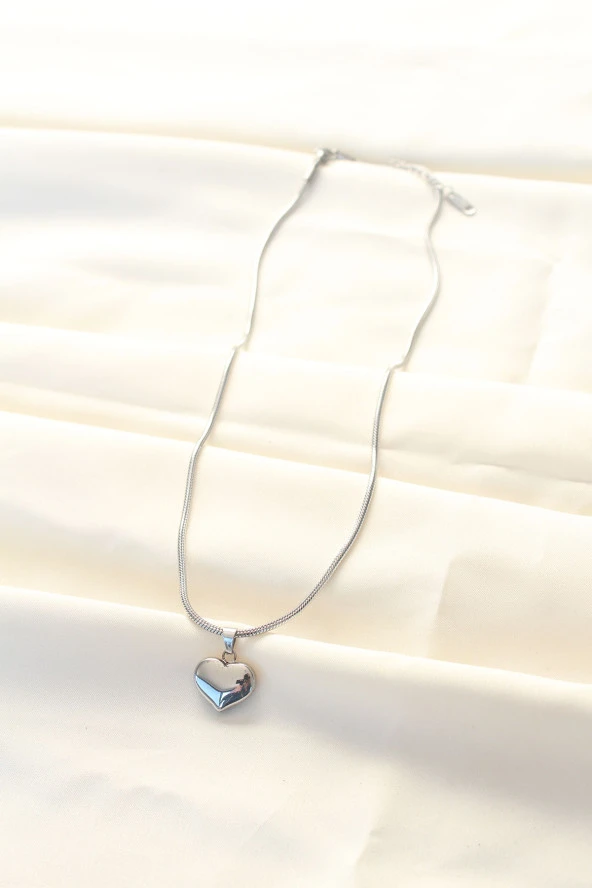 316L Çelik Gümüş Renk Kalp Kolye - EBJ240521W24264 - Resim 2