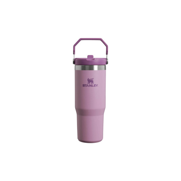 Stanley The IceFlow Flip Straw Pipetli Termos Bardak 0,89 LT - 4
