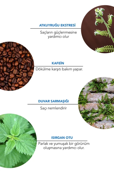 Alls Biocosmetics Organik Dökülme Karşıtı Prebiyotik Şampuan 350 ml - Resim 3