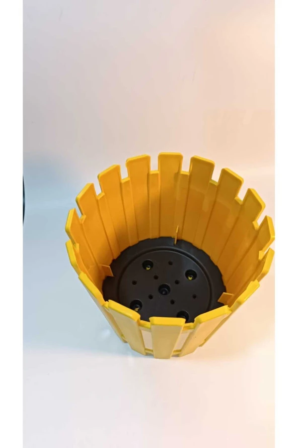 Poliwork Akasya 20 Saksı Tekli Sarı - 2