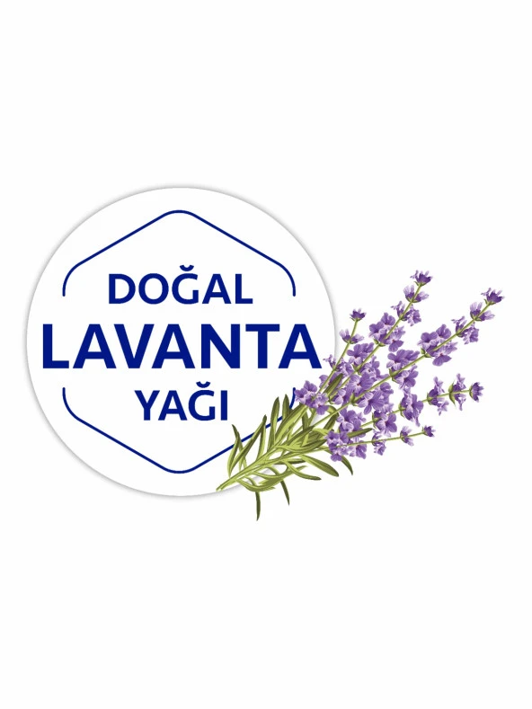 Clearmotion Yer Temizlik Havlusu(12x50) 600 Yaprak - 6