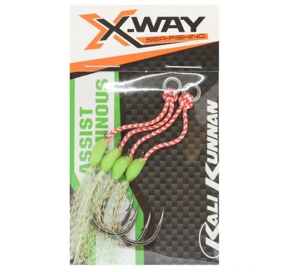 Kali X-Way Assist Luminous Jig Asist İğne 2'li, No:5/0