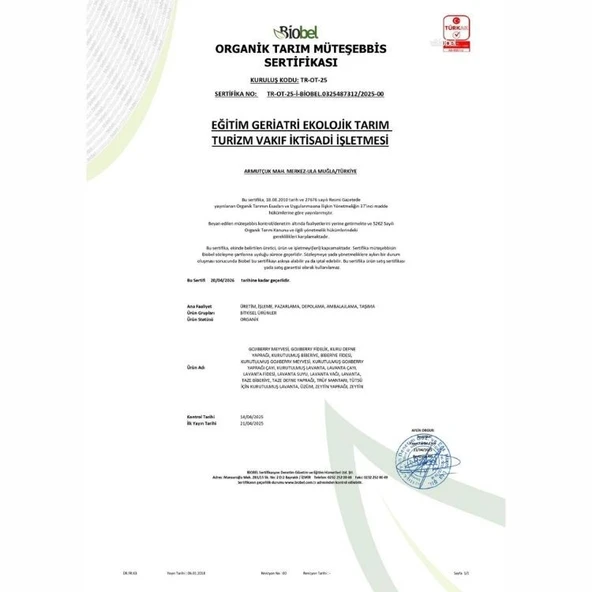 EGET Organik Lavanta Fidesi 60 Adet - 4
