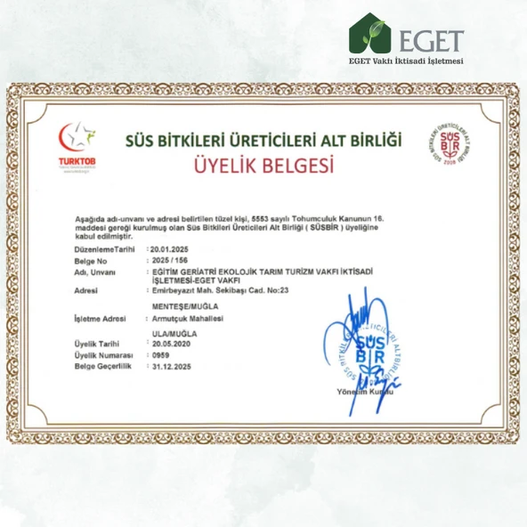 EGET Organik Lavanta Fidesi 60 Adet - 3