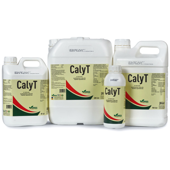 CALY T  1L