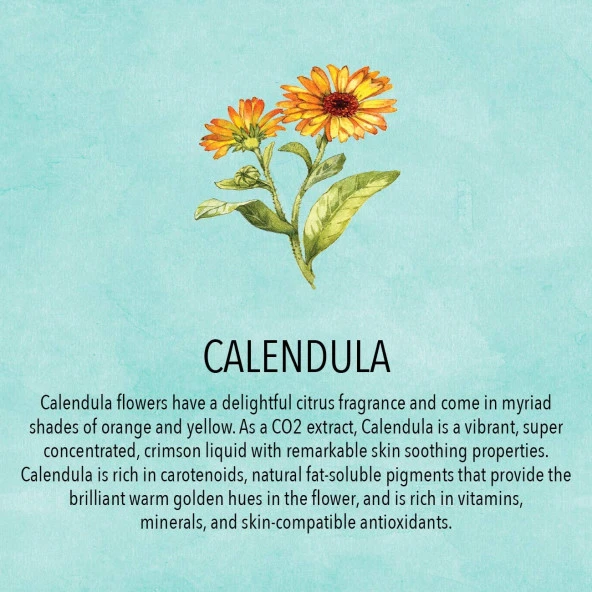 Badger Organik Bebek Hediye Seti - Resim 2