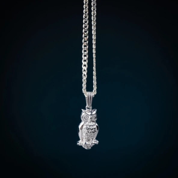 Baykuş 925 Ayar Erkek Gümüş  (Silver) Kolye