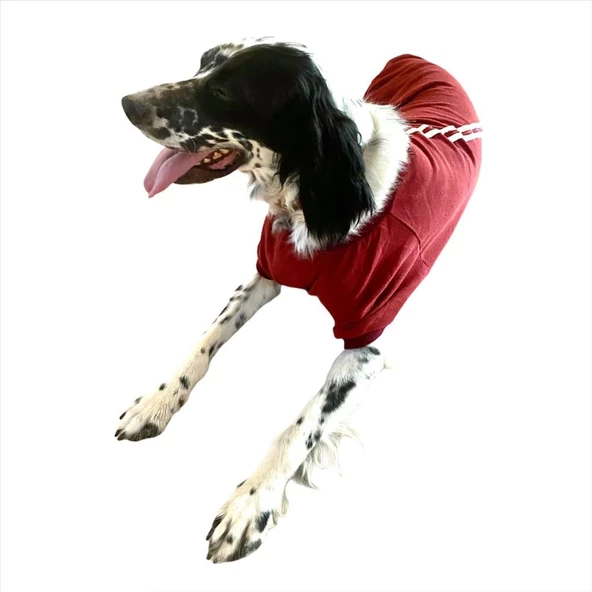 Bordo Tişört Büyük Köpekler İçin - 3