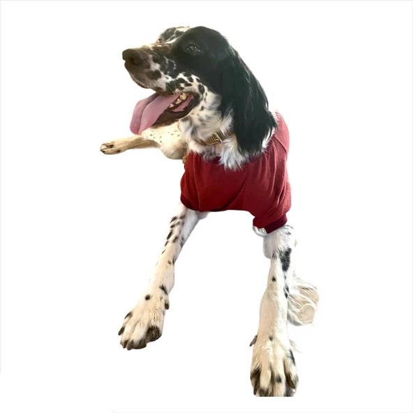 Bordo Tişört Büyük Köpekler İçin - 7