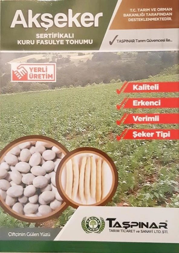Taşpınar Akşeker Kuru Fasulye Tohumu 1 kg - Resim 2