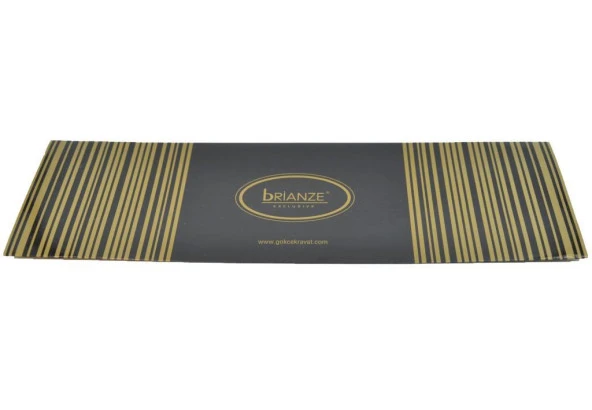 Brianze Yeşil Açık Kahve Mavi Şal Desen Kravat Mendil Set - 3