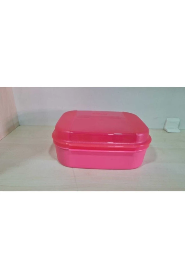 F20 Mini Saklama Kabı Pembe