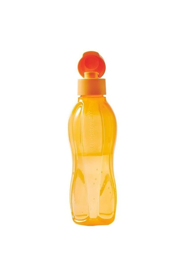 Eko Şişe 750 ml