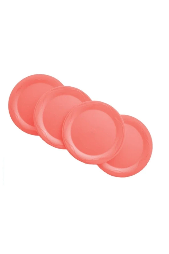 Piknik Tabakları ( Servis Tabağı ) Hsgl