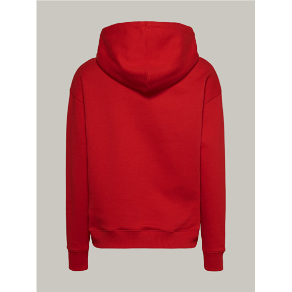 TOMMY HİLFİGER TJW LİNEAR LOGO HOODİE KADIN SWEATSHİRTS DW0DW10132CWJ - 2