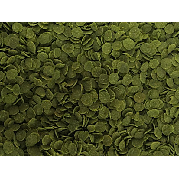 Lepistes-Melek-Tetra Guppy Mix Granules 1000ml, Algae Garlic,Protect Mix,Algea Veggie 100ml Yem Seti - 5
