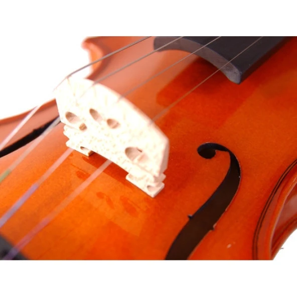 Stentor 1018/C Standart Keman (3/4) - Resim 2