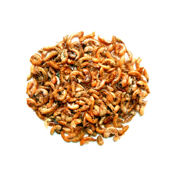 Lotus Gammarus Turtle 250 Ml Sürüngen Ve Kaplumbağa Yemi - 2